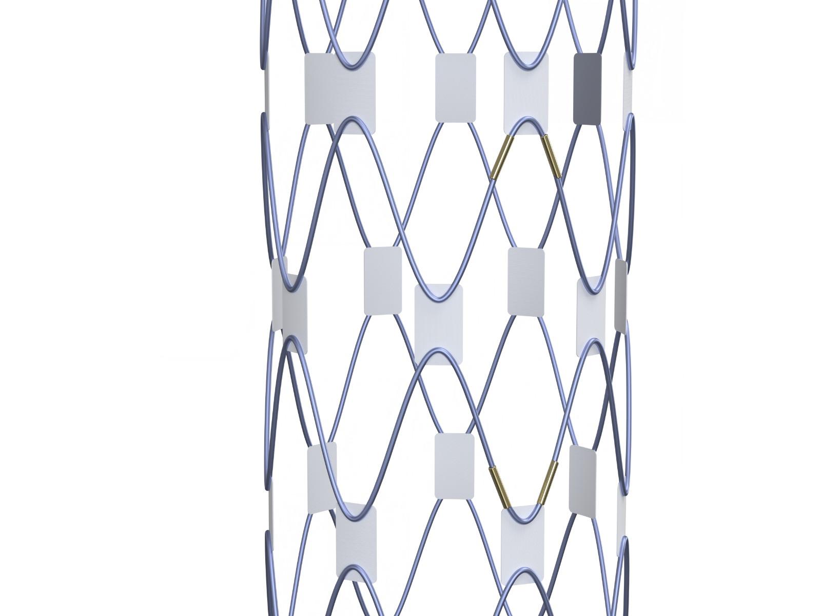 Dissection CMD - Delivery System 2